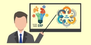ERP Implementation Consultant