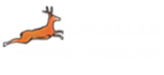 Gazelle Logo Website
