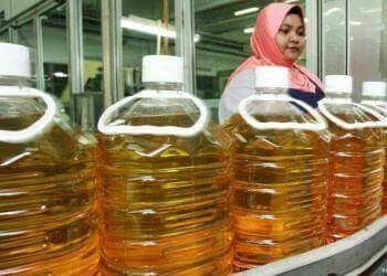 Oil Bottles